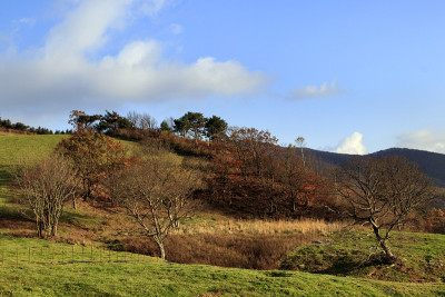 草原风景