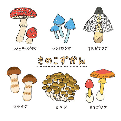 各种蘑菇插画集