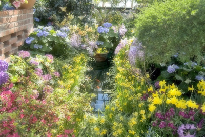 梦的花园