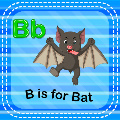 识字卡片上的字母B代表蝙蝠