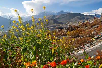 Muktinath,尼泊尔