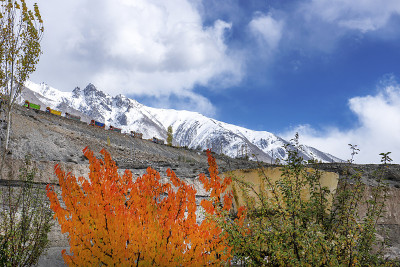 巴基斯坦的山脉和山峰