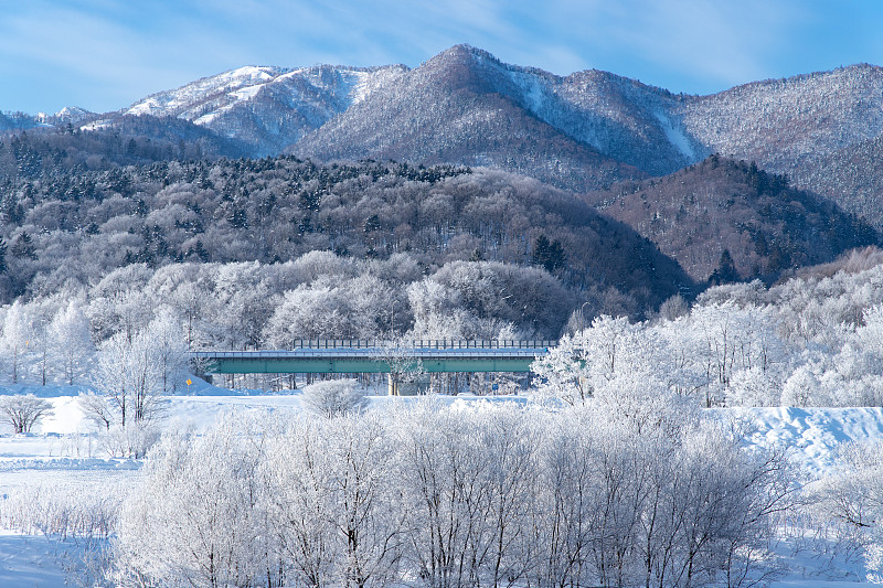 北海道富野的树木被霜覆盖。