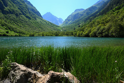 夏季的风景与湖在山