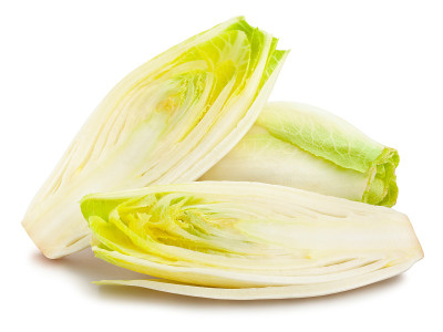 菊苣