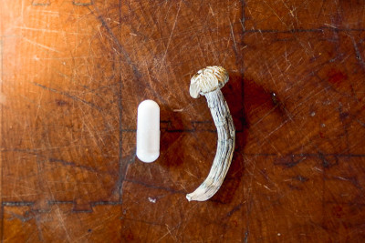 裸盖菇素蘑菇。干燥的致幻蘑菇。有棕色背景的蘑菇