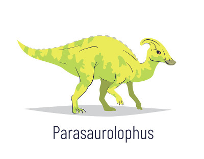 Parasaurolophus。鸟臀目恐龙。彩色矢量插图的史前生物副栉龙在手绘平风格孤立在白色背景。