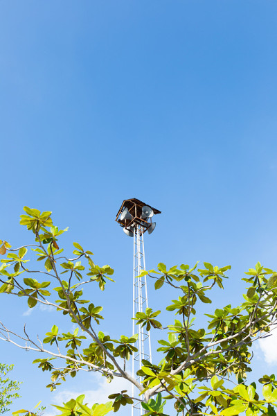 喇叭扬声器