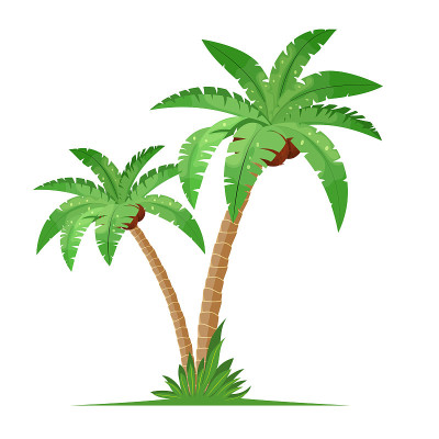 两棵椰子树和草