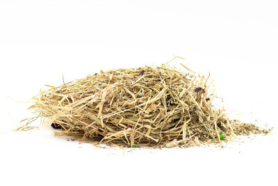 白色的栗鼠干草