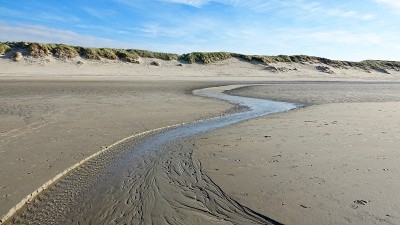 海边的沙丘景观