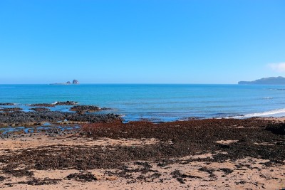 兄弟岛，海洋，海岸，