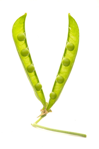 豌豆