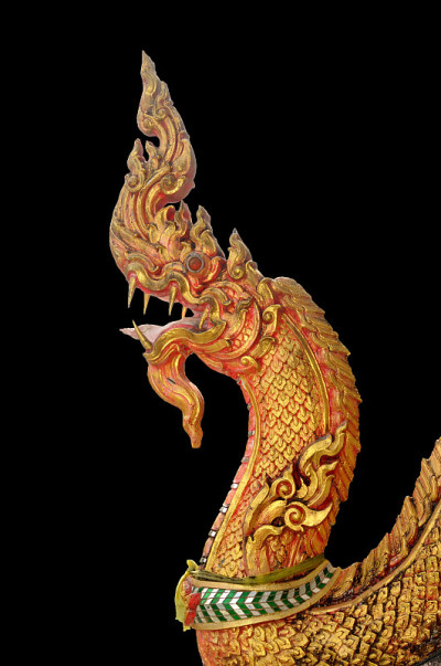 龙