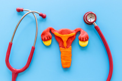 女性保健理念与女性子宫和听诊器有关