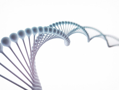 白色背景上的DNA。3 d渲染。