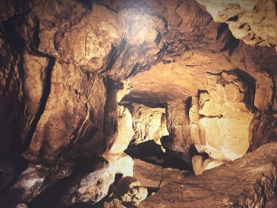 西班牙北部的史前洞穴壁画