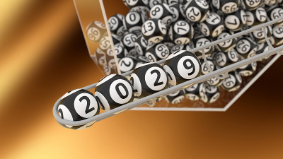 2029年