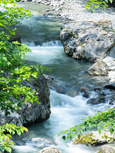 尼帕拉河清澈的水流