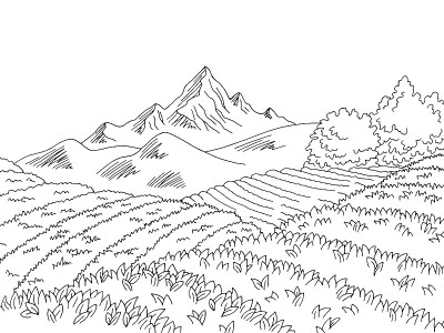 茶园图形黑白景观素描插图矢量