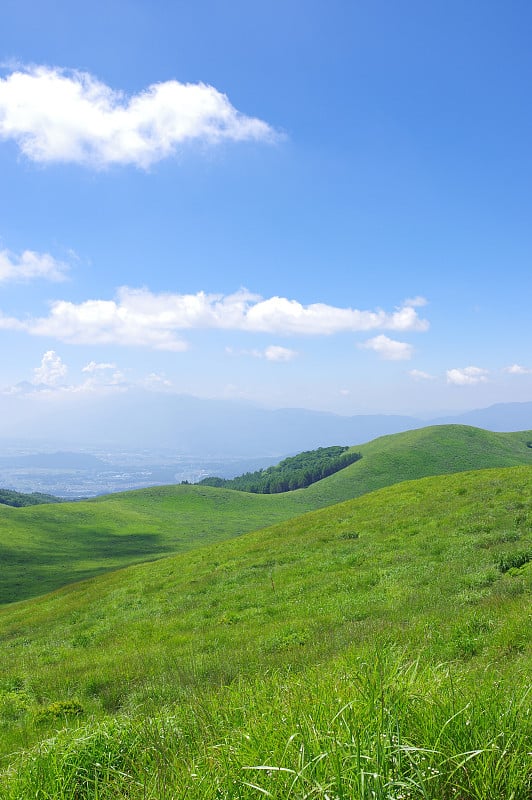 夏季的基利甘明高原