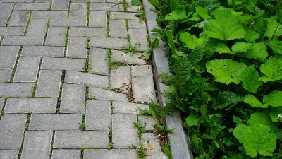卡普特路
