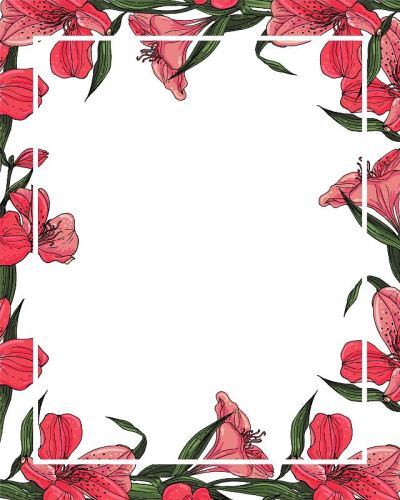 Vector flower frame with pink red Alstroemeria flo
