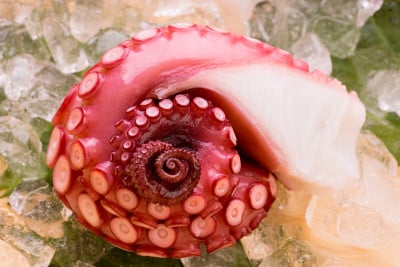 圆子