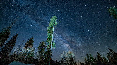 《红杉银河夜》
