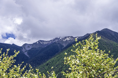 草原雪山