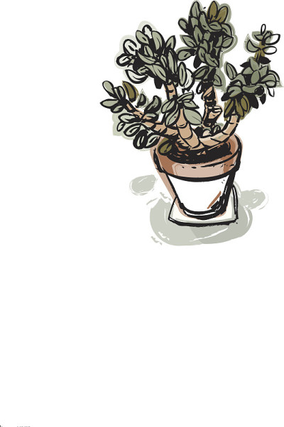 植物距离