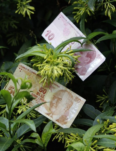 用土耳其的钱进行经济和金融