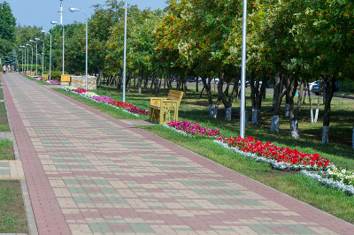 城市公园，城市人行道，