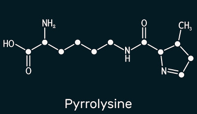 吡咯赖氨酸l-吡咯赖氨酸Pyl C12H21N3O3分子它是氨基酸，用于生物合成蛋白质。深蓝色背景上