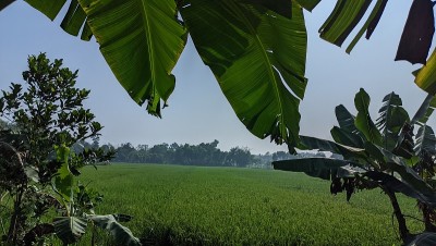 孟加拉国美丽的风景。背景。