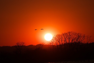 夕阳染红了宫岛沼