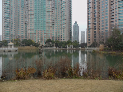 城市中的湖泊