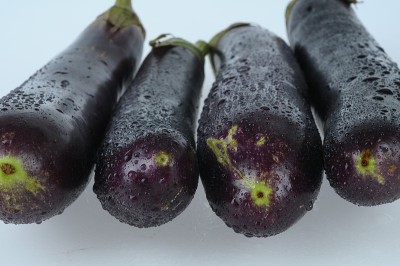 茄子