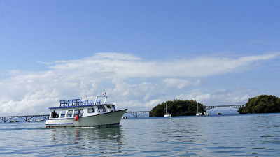 海岸沙门