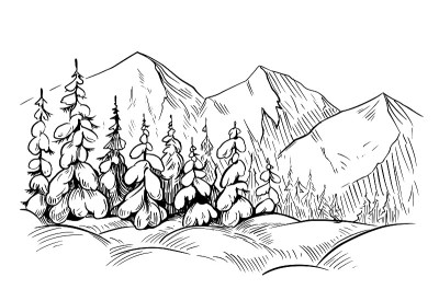 冬天的风景。雪，冷杉，山。线艺术插图孤立的白色背景