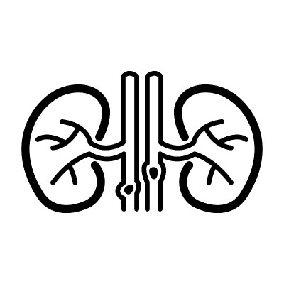 肾结石的图标