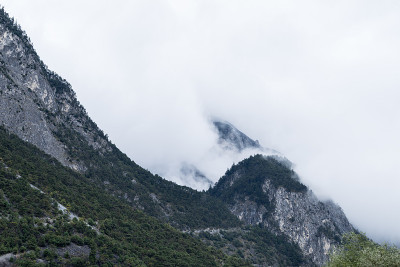 山、河、树景观自然环境。在阿尔卑斯山徒步旅行。彩色的山丘，大山。欧洲奥地利阿尔卑斯火山口的秋天。