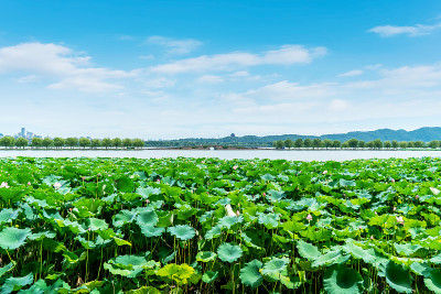 杭州西湖建筑景观与自然景观