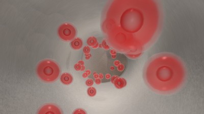移植物中流动的红细胞的内窥镜图