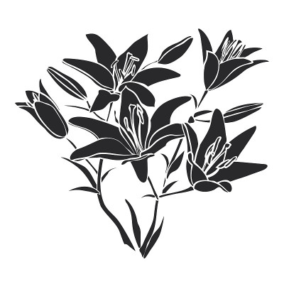 黑色轮廓莉莉。