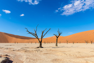 Deadvlei、纳米比亚