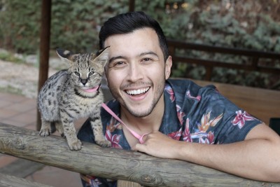 男人与婴儿几猫