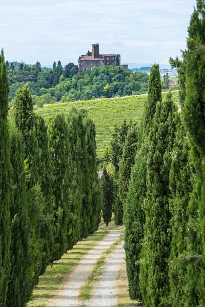 Monferrato(意大利)