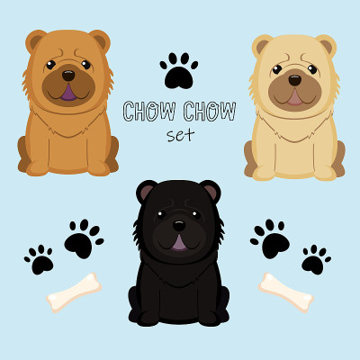 松狮犬颜色套装。