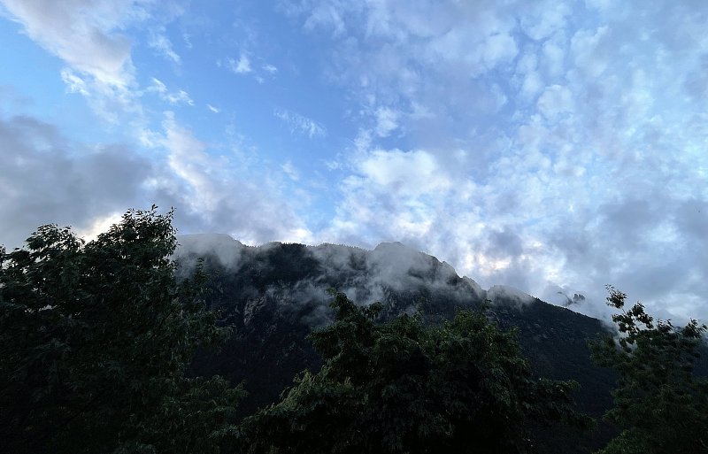 奥地利阿尔卑斯山脉的天然草地